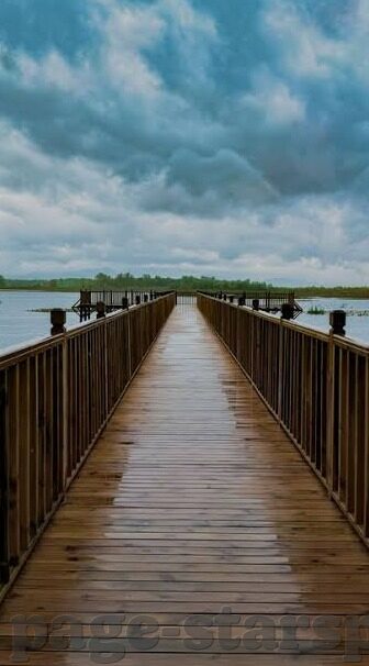 皇冠比分足球-皇冠比分足球，数据背后的激情与智慧较量